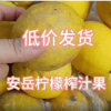 优力克柠檬下三级榨汁果皮薄多汁产地直发榨汁切片泡水批发